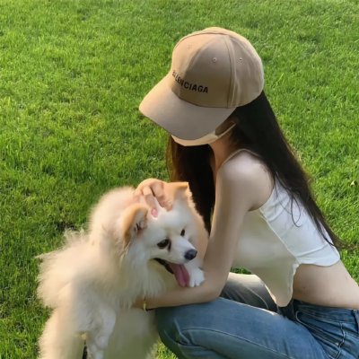 大虎鲨